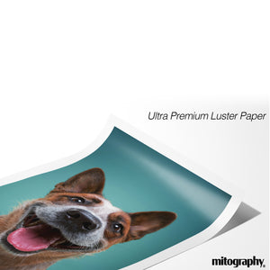 Custom Photo Print – Perfect Fit for KNOPPÄNG Frame by IKEA