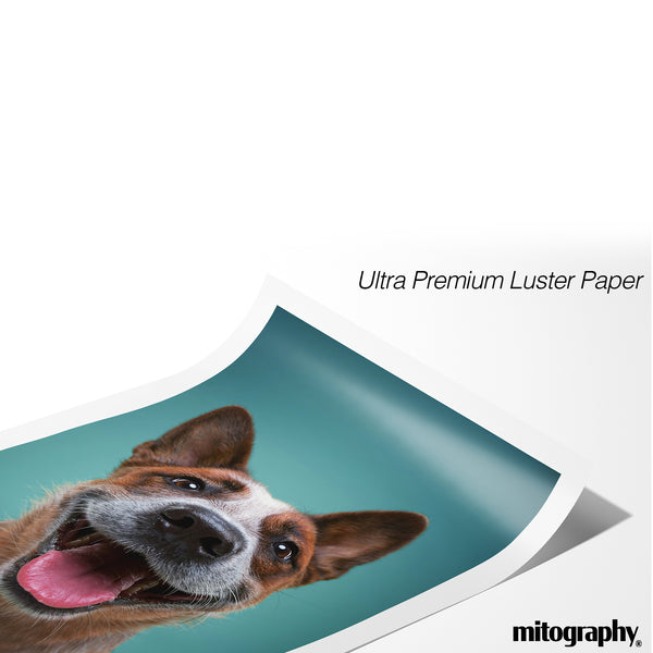 Custom Photo Print – Perfect Fit for KNOPPÄNG Frame by IKEA