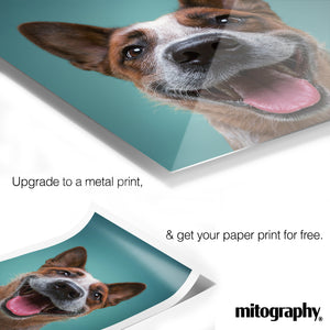 Custom Photo Print – Perfect Fit for KNOPPÄNG Frame by IKEA