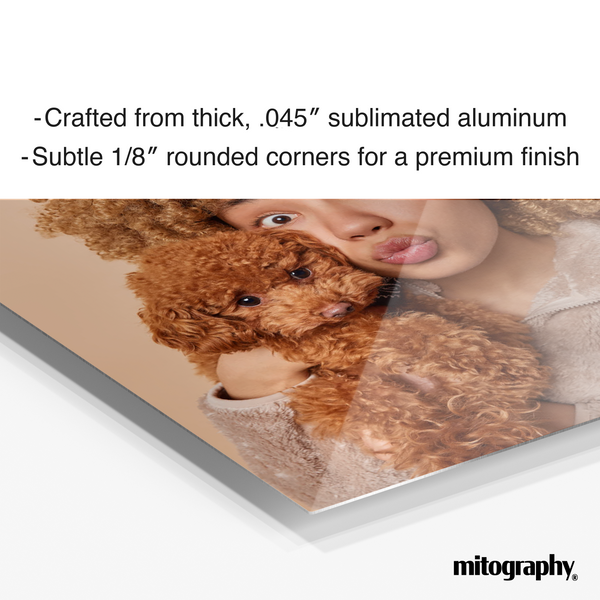 Quadrant Collection - Square 4 Pack