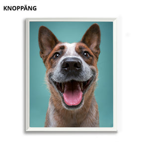 KNOPPÄNG Perfect-Fit Print